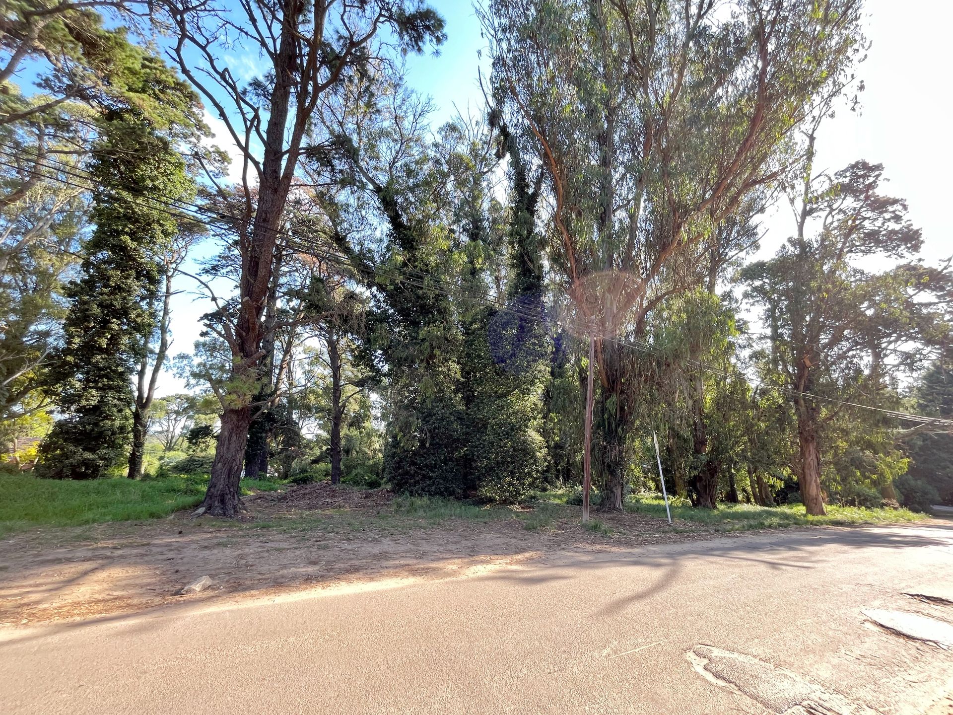VENTA EN BLOCK DE 4 LOTES ENTRADA AL BOSQUE PRAMOS