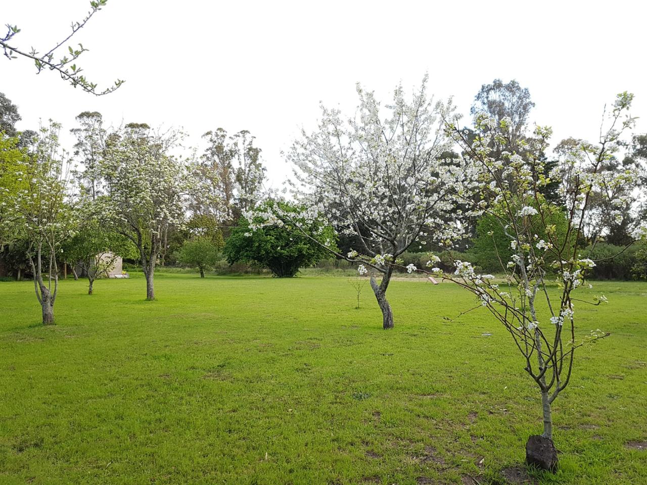 Casa Quinta 4 amb.  Barrio La Peregrina 4162,5 mt 