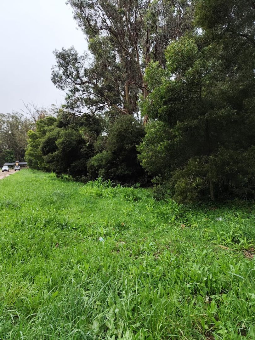 LOTES EN BLOCK EN VENTA MIRAMAR 