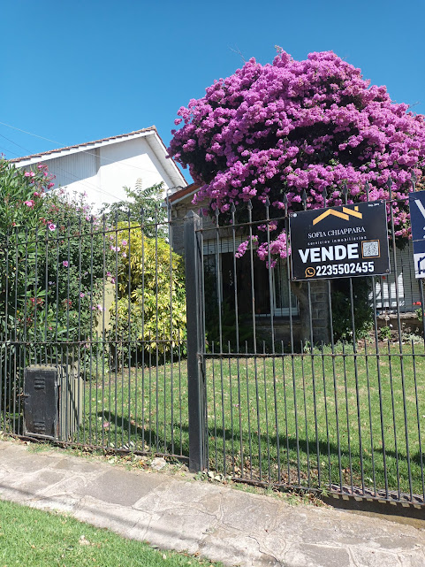 VENTA CHALET 4 AMBIENTES - PUNTA MOGOTES -
