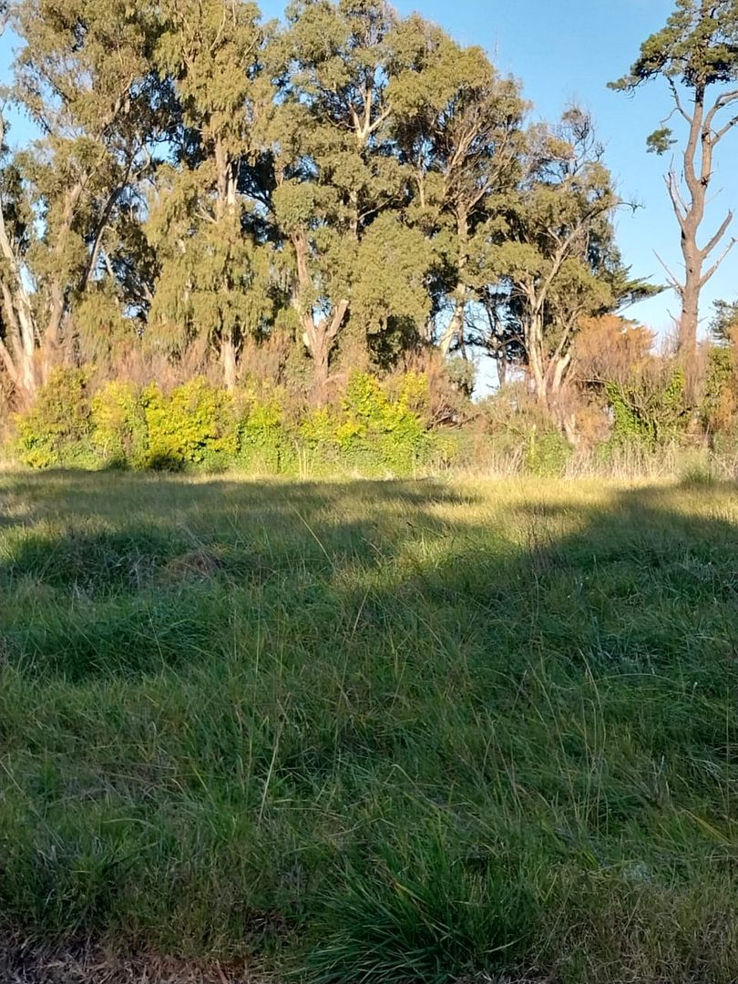 VENTA LOTE EN AV. DEL GOLF MIRAMAR