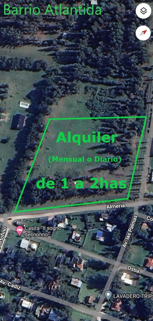 ALQUILER CAMPO 1 O 2 HECTAREAS