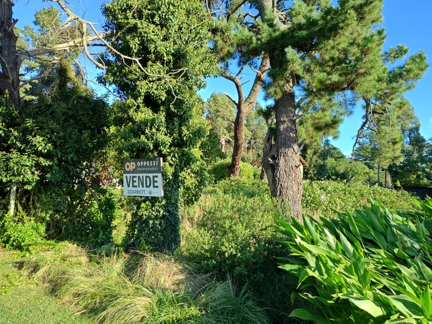 Oportunidad: lote en Barrio Colinas Verdes