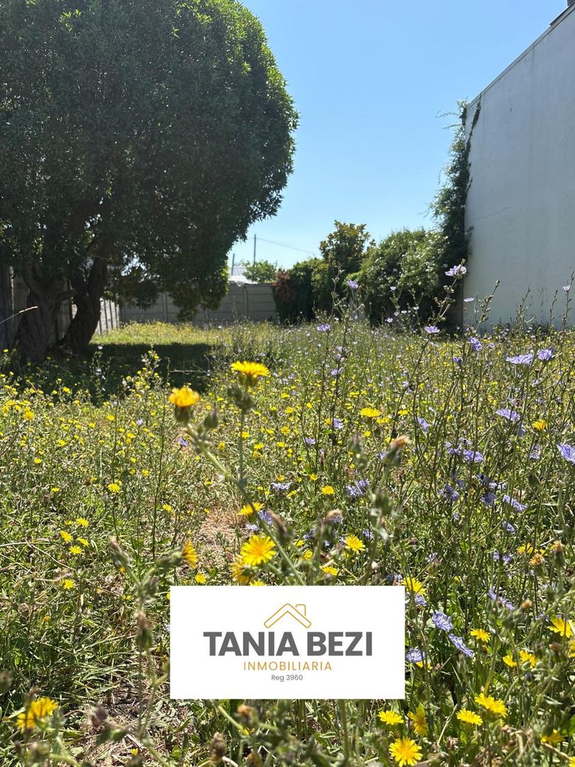 TERRENO EN VENTA SANTA ELENA