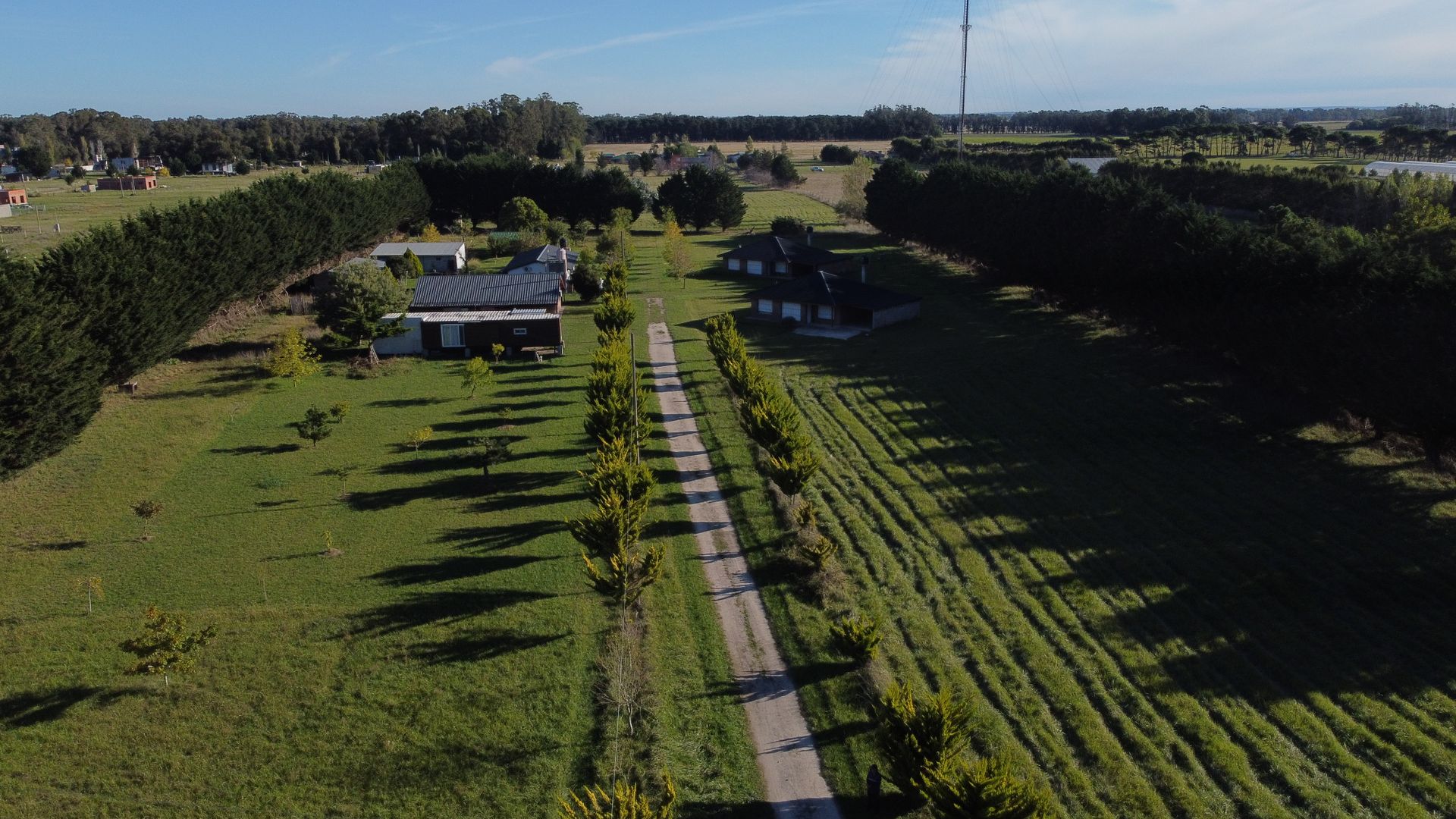 4 HECTAREAS EN ALQUILER, ATLÁNTIDA-SANTA CLARA 
