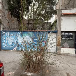 TERRENO CON CONSTRUCCION PARA DEMOLER O RECICLAR